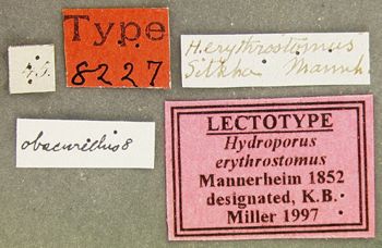 Media type: image;   Entomology 8227 Aspect: labels